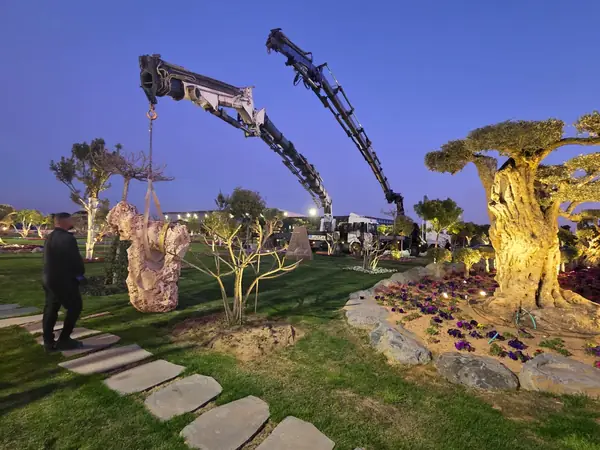 עבודת מנוף והובלה 50